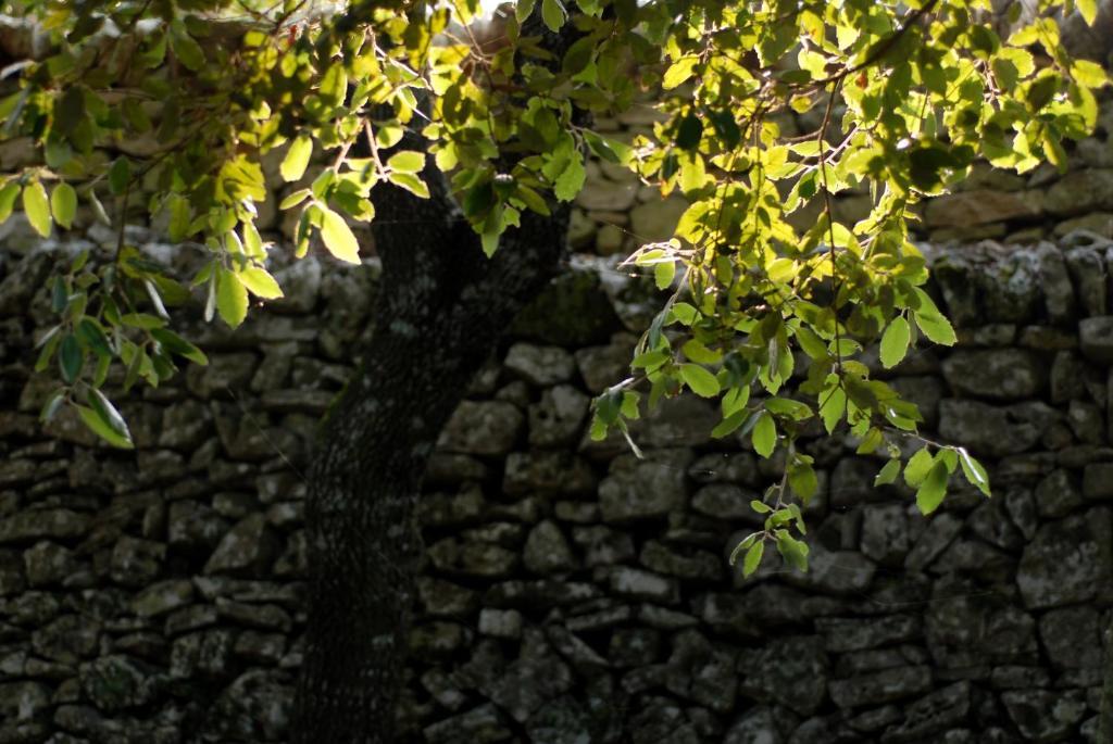 מרטינה פרנקה Agriturismo Iazzo Scagno מראה חיצוני תמונה