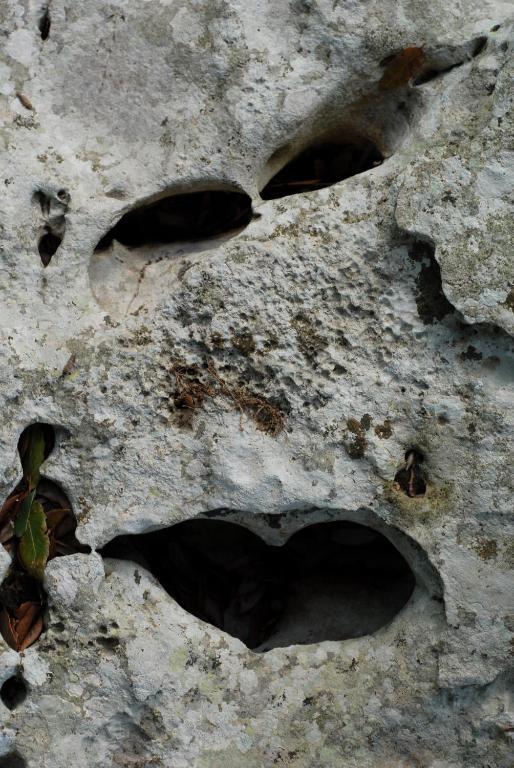 מרטינה פרנקה Agriturismo Iazzo Scagno מראה חיצוני תמונה