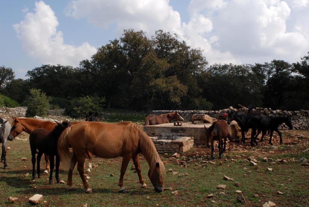 מרטינה פרנקה Agriturismo Iazzo Scagno מראה חיצוני תמונה